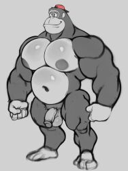 anthro balls bara barazoku chunky_kong donkey_kong_(series) donkey_kong_64 flaccid furry gorilla hunnipanda male male_only monochrome muscles muscular nintendo nude penis solo solo_male