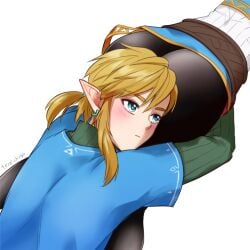 ass big_ass blonde_hair blue_shirt blush clothing elf elf_ears hugging hugging_ass ichigobotw2 light-skinned_male light_skin link link_(breath_of_the_wild) link_(tears_of_the_kingdom) nintendo short_ponytail the_legend_of_zelda the_legend_of_zelda:_breath_of_the_wild the_legend_of_zelda:_tears_of_the_kingdom thick_ass zelda_(breath_of_the_wild) zelda_(tears_of_the_kingdom)