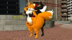 big_ass cumming cumming_inside grabbing kane_brent_koopa shadow_the_hedgehog tails_the_fox tecbuttlovefa