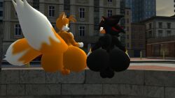 2boys 3d anthro ballsack big_ass kane_brent_koopa naked public_nudity shadow_the_hedgehog sitting tails_the_fox tecbuttlovefa