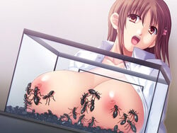 ant bondage breasts breasts_out brown_eyes brown_hair clothing cyclet dress_shirt dutch_angle female huge_breasts indoors insect_swarm insects interspecies kisaragi_kagome konchuu_kansatsu large_breasts nipples no_bra open_clothes open_shirt original shirt solo swarm white_shirt zoophilia