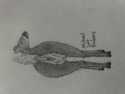 4:3 absurd_res anatomically_correct anatomically_correct_genitalia anus ass clitoris deer female feral genitals hi_res looking_at_viewer looking_back mammal michaelsoftbinbows new_world_deer presenting presenting_hindquarters pussy raised_tail realistic solo tail vulva white-tailed_deer