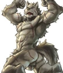 2018 abs absurd_res anthro biceps canine digital_media_(artwork) fur hi_res kemono male male_only mammal muscular muscular_male pecs scar simple_background tupidwithouts wolf