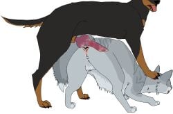 after_rape after_sex alpha_channel animal_genitalia animal_penis ass_up big_knot big_penis blood blood_from_ass blood_from_mouth blood_in_ass blood_in_mouth blood_on_knot blood_on_penis bodily_fluids brindleface_(warriors) canid canine canine_genitalia canine_penis canis domestic_cat domestic_dog duo felid feline feline_vulva felis female feral feral_on_feral fogcloud genitals hair hi_res huge_knot imminent_death interspecies interspecies_rape knot long_hair male male/female mammal penis pinned puffed_tail warriors_(book_series)