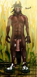 2014 abs animal_genitalia anthro balls digital_art equine fur horse horsecock jaxneesen looking_at_viewer male male_only mammal muscles nude penis solo