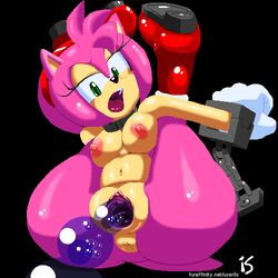 amy rose from sonic (series) by hotred