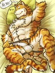 1boy 2017 abs absurd_res anthro biceps clothing digital_media_(artwork) feline fur hi_res jockstrap kemono male male_only mammal muscular muscular_male pecs simple_background solo tiger tupidwithouts underwear white_underwear