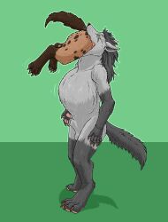 ambiguous_feral ambiguous_gender ambiguous_prey animal_genitalia anthro anthro_pred balls belly big_belly brown_body brown_fur claws daniel_(damnedfox) duo feral feral_prey fully_sheathed fur generation_3_pokemon genitals green_background green_eyes grey_body grey_fur hair head_first hi_res hyena male male_anthro male_pred mammal markings mightyena nintendo oral_vore partially_inside pokemon pokemon_(species) sheath simple_background snout soft_vore spots spotted_body spotted_fur strega tail vore whiskers