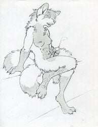 2011 anthro breasts canine cum dickgirl furry intersex mammal masturbation multi_tail nara penis ruaidri traditional_media_(artwork)