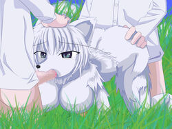 anthro big_breasts breasts canine cdi censored clothing cloud erection fellatio female fur grass grey_eyes group group_sex hair male mammal nipples nude open_mouth oral penetration penis sex straight the-pandoriums threesome white_fur white_hair wolf