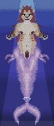 abs animated anthro aquatic armlet bouncing_breasts bouncing_hair breasts digital_media_(artwork) felid female fin fish fish_tail flexing flexing_bicep futanari gem genitals gills hair hi_res jewelry lion long_hair loop makohyperion mammal merfolk merfur muscular narrowed_eyes necklace nipples pantherine pearl_(gem) pearl_necklace pixel_(artwork) presenting presenting_vulva smile smiling_at_viewer split_form thrusting_forward vulva
