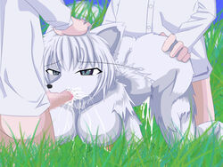 anthro big_breasts breasts canine cdi censored clothing cloud cum cum_in_pussy cum_inside cum_on_body cum_on_breasts cum_on_face erection fellatio female fur grass grey_eyes group group_sex hair male mammal nipples nude open_mouth oral penetration penis sex straight threesome white_fur white_hair wolf