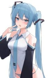 hatsune miku from vocaloid