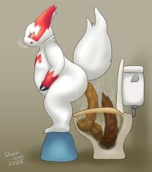ambiguous_gender anthro ass big_butt crouching drain_scat feces feces_in_ass feces_in_toilet fur generation_3_pokemon hi_res looking_up multicolored_body nintendo pokemon pokemon_(species) pooping_in_toilet red_body red_eyes red_fur scat simple_background solo toilet toilet_use two_tone_body white_body white_fur x-ray_view zangoose