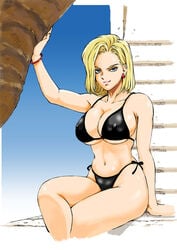 android_18 bikini blonde_hair dragon_ball female female_only kugayama_hodai milf solo