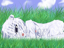 anthro big_breasts breasts canine cdi cum cum_on_body cum_on_breasts cum_on_face female fur grass grey_eyes looking_at_viewer lying mammal messy nipples nude open_mouth the-pandoriums tongue white_fur wolf