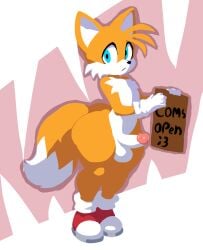 tails the fox from sonic (series) by ryuukane