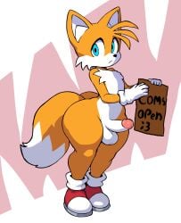 tails the fox from sonic (series) by ryuukane