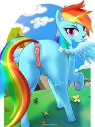 2018 anatomically_correct anatomically_correct_pussy animal_genitalia animal_pussy anus ass cigusa cutie_mark digital_media_(artwork) equine equine_pussy female feral friendship_is_magic hair hi_res looking_at_viewer mammal multicolored_hair my_little_pony pegasus pussy rainbow_dash_(mlp) rainbow_hair solo wings