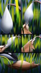 2016 ambiguous_gender belly_lick bodily_fluids cetacean condom condom_swallowing cum dolphin duo excessive_cum excessive_genital_fluids filled_condom genital_fluids hi_res inflation male male/ambiguous mammal marine oceanic_dolphin orca orcasanddragons removing_condom seaweed sexual_barrier_device toothed_whale underwater water