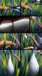 2016 animal_genitalia animal_penis black_body black_skin bodily_fluids cetacean cetacean_genitalia cetacean_penis cock_vore condom cum cum_transformation cum_vore death digestion digital_drawing_(artwork) digital_media_(artwork) dolphin excessive_cum excessive_genital_fluids feral feral_on_feral filled_condom genital_fluids genitals group heart_symbol hi_res huge_condom internal licking lunara mammal marine melting oceanic_dolphin oral orange_body orange_skin orca orcasanddragons penile penis penis_lick seaweed sex sexual_barrier_device tapering_penis tongue toothed_whale transformation trio underwater vore water white_body white_skin