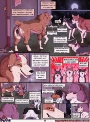 animal_genitalia animal_vulva anus aurora_(parooty) australian_shepherd blush blush_lines borzoi bow_ribbon bow_tie canid canine canine_genitalia canine_vulva canis city city_background cityscape comic crown denver_(colorado) dialogue domestic_dog excited excited_for_sex female feral flirting flirting_look fluffy fluffy_tail genitals gossip group happy headgear heart_symbol herding_dog hi_res hunting_dog husky intimidation light male mammal mey_(parooty) molly_(parooty) moon moonlight neck_tuft nordic_sled_dog nub_tail outside parooty pastoral_dog pink_anus poodle praise scared sheepdog side_view sighthound spitz tail talking_feral talking_to_another tuft vulva welsh_corgi
