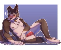 absurd_res animal_genitalia animal_penis anthro blush blushing_profusely canid canine canine_genitalia canine_penis canis claws closed_eyes collar collar_only digital_media_(artwork) erection feet fur genital_piercing genitals hi_res lighter_belly male mammal name_tag nipples nude nude_male penis penis_piercing piercing posing_nude prince_albert_piercing rog_(rogulus) shaded signature solo tail veru wolf