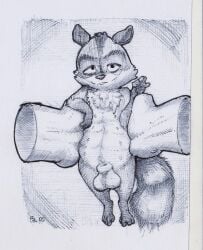 2boys absurd_res anthro balls dreamworks dreamworks_animation hi_res human looking_at_viewer male_focus mammal over_the_hedge paramount_pictures penis procyonid raccoon ram_satinga rj_(over_the_hedge) tail