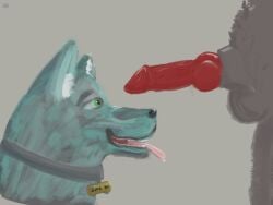 animal_genitalia animal_penis anthro balls canid canine canine_genitalia canine_penis canis digital_media_(artwork) duo erection feral fur genitals hi_res knot male male/male mammal nude penis smile tongue tongue_out wafflsett wolf