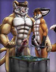 2021 animal_genitalia anthro balls biceps big_balls big_penis biped bodily_fluids brown_hair canid canine cougar cum digital_drawing_(artwork) digital_media_(artwork) duo elrabin erection eyewear felid feline foreskin fox fur genital_fluids genitals giga_macro gigatiger glans glass_case glasses goggles hair hi_res humanoid_genitalia humanoid_penis macro male male_only mammal muscular muscular_anthro muscular_male nude orange_body orange_fur pecs penis red_fox sheath tail tan_body tan_fur terrarium true_fox uncircumcised vivarium vulpes_pawpad