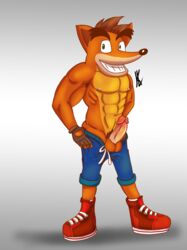 1boy balls bandicoot crash_(series) crash_bandicoot erection grin male male_only pants penis pubes raven2dx solo topless