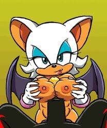 1boy 1girls animated bat big_breasts breasts dorigreen duo fellatio female hedgehog male_pov mammal nipples nude oral paizuri penis pov rouge_the_bat sega sex shadow_the_hedgehog sonic_(series) sonic_x straight