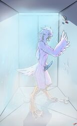 anthro avian avian_(starbound) beak bird cum erection feathers male male_only neothedragon nude penis solo starbound video_games