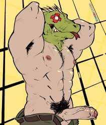 1boy abs animal_humanoid armpit_hair balls bara biceps big_balls big_penis dorohedoro erection kaiman kaiman_(dorohedoro) lizard male male_nipples male_only male_pubic_hair muscular_male nipples nude pecs penis solo