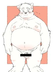 2024 anthro balls belly big_belly blush canid canine canis censored domestic_dog flaccid genitals hi_res inunoshippo kemono male mammal moobs navel nipples overweight overweight_male penis solo