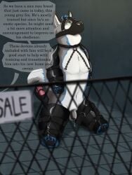 absurd_res anthro balls bitchsuit bondage bondage_gear bound canid canine chained_collar chastity_cage chastity_device chicken-wing_tied collar crazydonkey cum_dripping_from_penis dialogue english_text for_sale fox frogtied fur gag gagged genitals grey_body grey_fur hi_res humanoid_genitalia humanoid_penis humiliation kneeling legs_tied male mammal muzzle_(object) muzzle_gag navel nipple_piercing nipple_ring nipples penis petplay piercing puppyplay raised_head ring_piercing roleplay slave solo submissive submissive_male takum text three-quarter_view white_body white_fur