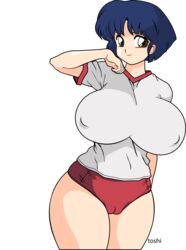 akane_tendo blue_hair breasts clothing female gym_uniform large_breasts nipples ranma_1/2 toshiso