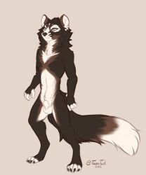 absurd_res animal_genitalia fluffy fluffy_tail full_body_view fully_sheathed genitals gulonine hi_res kaizuul_(character) mammal marten mustelid musteline sable_(marten) sheath tail tazatail