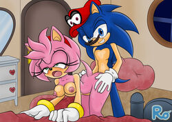 amy rose from mario (series) by raianonzika