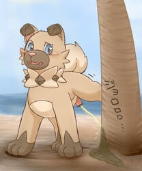 1boy ass beach blue_eyes blush brown_fur canine censor_bar censored digital_media_(artwork) fangs feet feral fur furry furry_only leg_up looking_at_viewer male male_only mammal manoreo motion_lines nintendo nude ocean open_mouth outdoors palm_tree paws peeing penis pokémon_(species) pokemon pokemon_sm rockruff sand solo tail teeth text tongue tree urine video_games water watersports