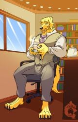 absurd_res age_difference anthro beard beverage bird_dog bookshelf canid canine canis domestic_dog facial_hair furniture golden_retriever hi_res holding_object hunting_dog looking_at_viewer male male_anthro mammal older_male retriever solo solo_focus tea thekinkybear