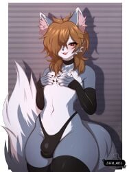 anthro blush brown_hair bulge canid canine clothed clothing covering covering_self detailed_bulge femboy fur genital_outline grey_body grey_fur hair hair_over_eye hi_res legwear male mammal open_mouth open_smile panties penis_outline smile thigh_highs topless underwear ziffir