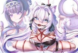 ball_gag bondage bondage drool drooling gag honkai_(series) honkai_impact_3rd kiana_kaslana raiden_mei shibari_over_clothes tail tears tied_up vibrator vibrator_under_clothes