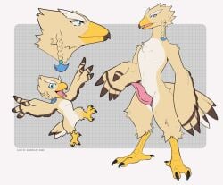 animal_genitalia anthro avian beak bird breath_of_the_wild flying genitals insaneartist male model_sheet nintendo open_beak open_mouth penis raised_arm rito solo tanith_(foxminoso) tapering_penis the_legend_of_zelda winged_arms wings