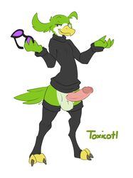 1boy anthro avian avian_(starbound) bottomless clothed clothing digitigrade erection halbean hi_res leg_warmers legwear male male_only penis simple_background solo solo_male starbound toxicotl turtleneck video_games