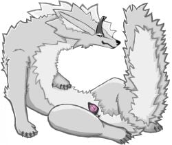 Animal Genitalia Rule 34 Image