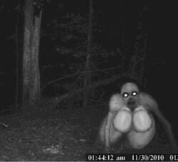 big_breasts black_and_white creepypasta edit forest looking_at_viewer night the_rake thick_thighs