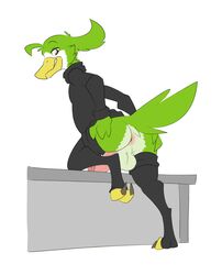 1boy anthro ass avian avian_(starbound) bottomless clothed clothing digitigrade erection halbean hi_res leg_warmers legwear male male_only penis presenting presenting_hindquarters simple_background solo solo_male starbound toxicotl turtleneck video_games white_background