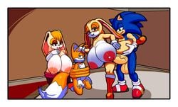 areola aryentai big_breasts big_penis boots breasts canine clothing cream_the_rabbit cuckold female footwear fox hedgehog huge_areolae huge_breasts huge_cock hyper_breasts hyper_penis lagomorph male mammal penis rabbit rouge_the_bat_(cosplay) segainfinity sonic_(series) sonic_the_hedgehog superbunnygt tails vanilla_the_rabbit