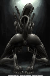 1girls 2018 5_toes alien alien_(franchise) anus ass bent_over black_body black_skin black_tail breasts butt claws digital_media_(artwork) eyeless feet female female_only female_xenomorph feral_only hi_res humanoid humanoid_feet kneeling monster monster_girl_(genre) muscular nihilophant presenting pussy raised_tail rear_view seductive soles solo text toes tubes watermark wide_hips xenomorph